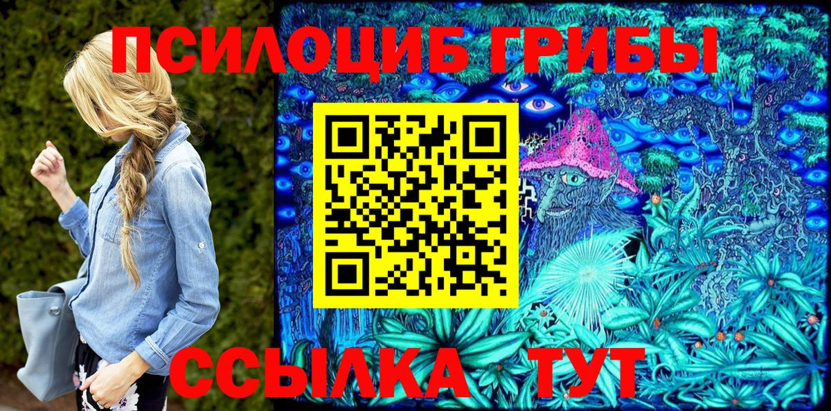 Псилоцибиновые грибы Psilocybine cubensis  Вход с VPN  Каменск-Уральский 